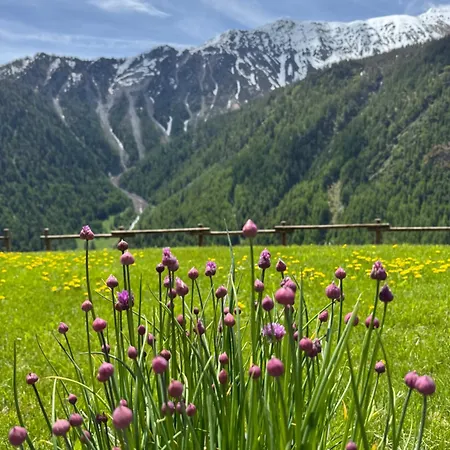 La Thuillettaz Maison De Montagne Alloggio in famiglia Saint-Rhemy-En-Bosses