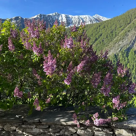 La Thuillettaz Maison De Montagne Alloggio in famiglia