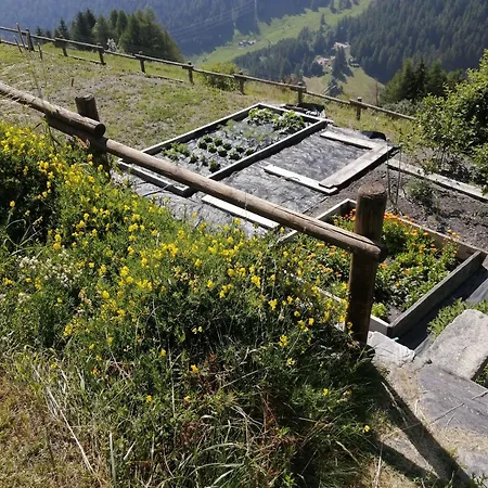 Alloggio in famiglia La Thuillettaz Maison De Montagne *