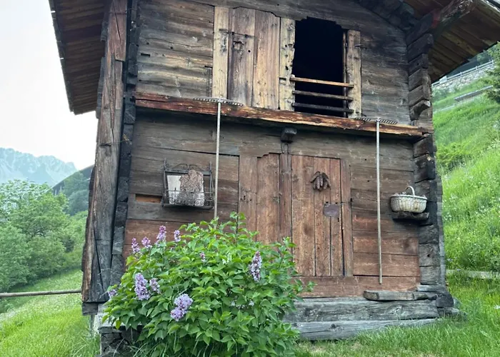 La Thuillettaz Pomme Rodzette * 萨伊恩特-雷米-恩-博塞斯